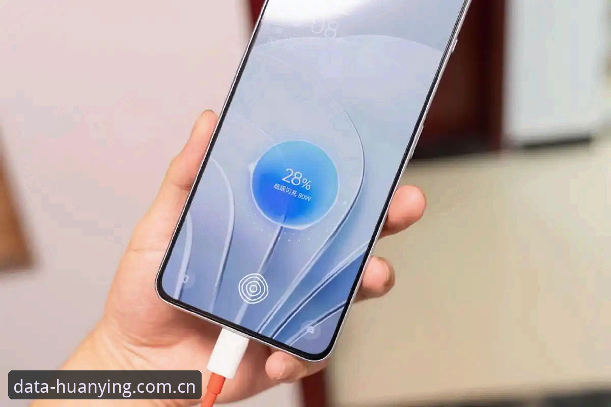 幻影体育官方版安装全攻略：老用户手把手教你如何快速上手v2.3.0